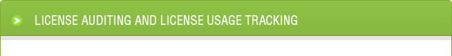 License Auditing and License Usage Tracking