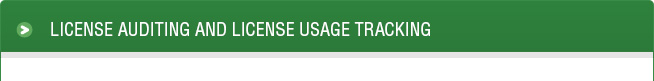 License Auditing and License Usage Tracking